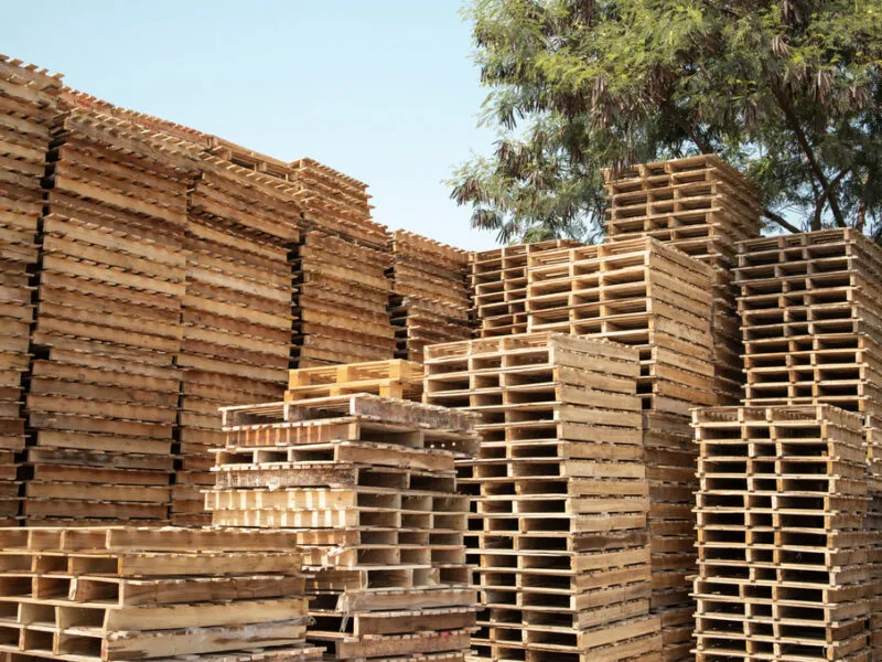 What Are the Environmental Benefits of Using Used Timber Pallets?