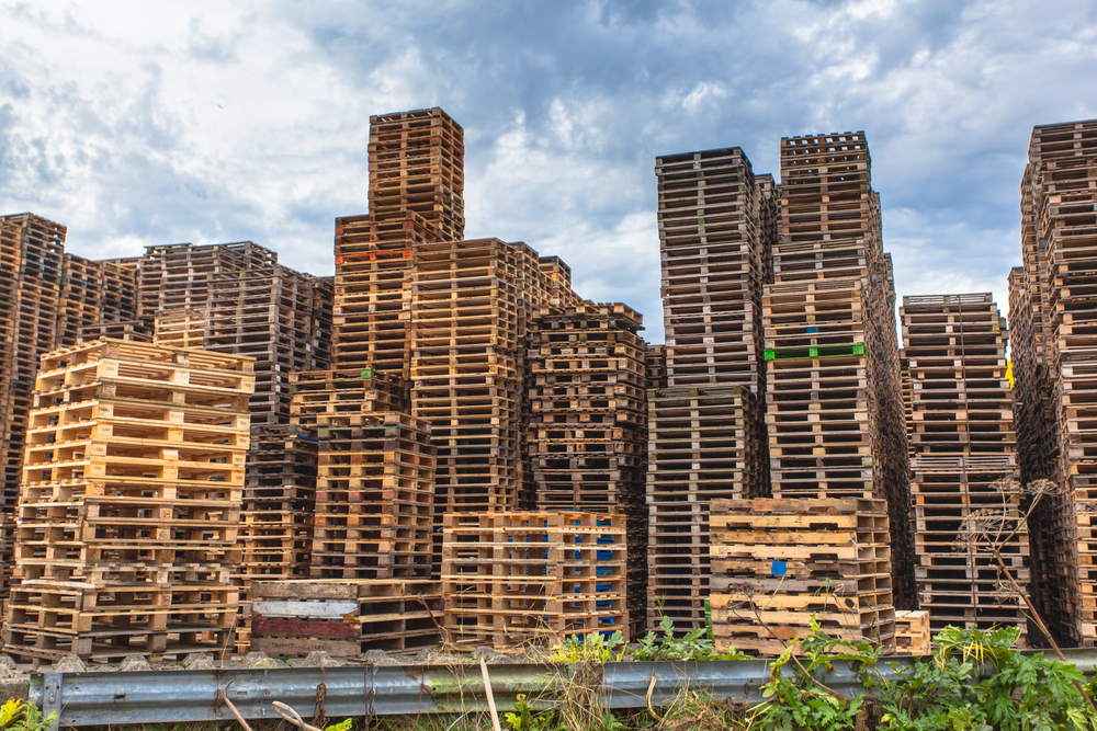 Avoid these mistakes when choosing used timber pallets