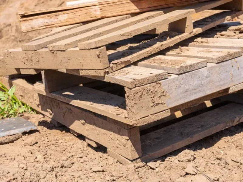 Avoid These Mistakes When Choosing Used Timber Pallets